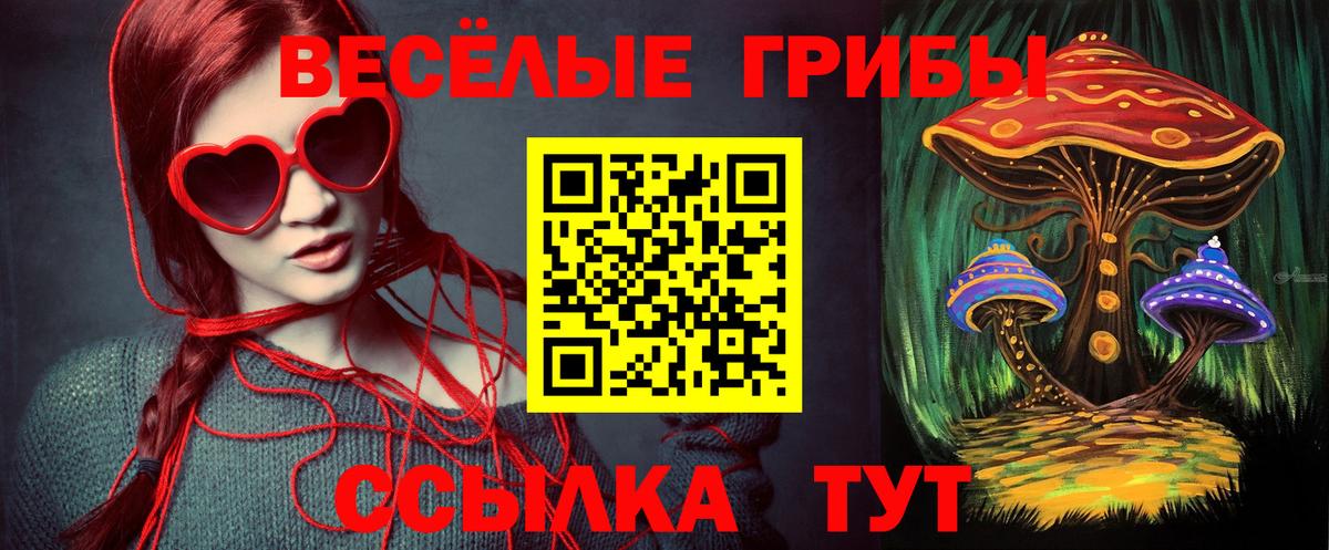 Унеча  наркота  Вход с VPN  Псилоцибиновые грибы Psilocybe 
